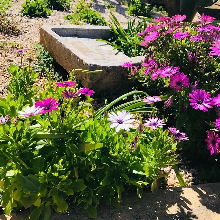 Timpe Bianche 4* קסטלוצו